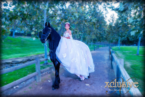 Lizette-47
