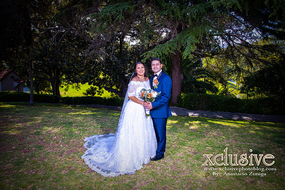 M&A-386