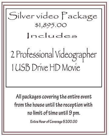 2.Silver-Video Package