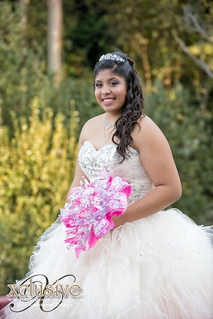 Arianna Quinceanera professional photography in Fremont, san jose, Hayward,