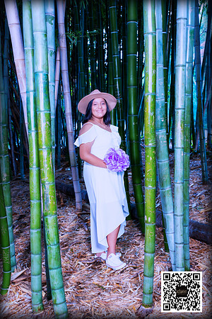 Quinceanera Photography in Arcadia, Los Angeles Arboretum